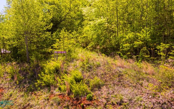 HIGHWAY 76 WEST: HIGHWAY 76 WEST, Hiawassee, GA 30546